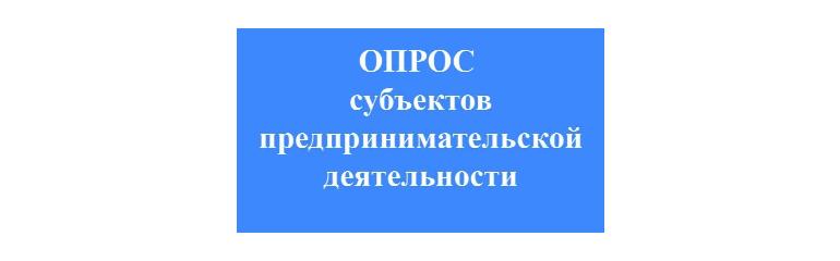 Анкета для опроса субъектов предпринимательской деятельности.